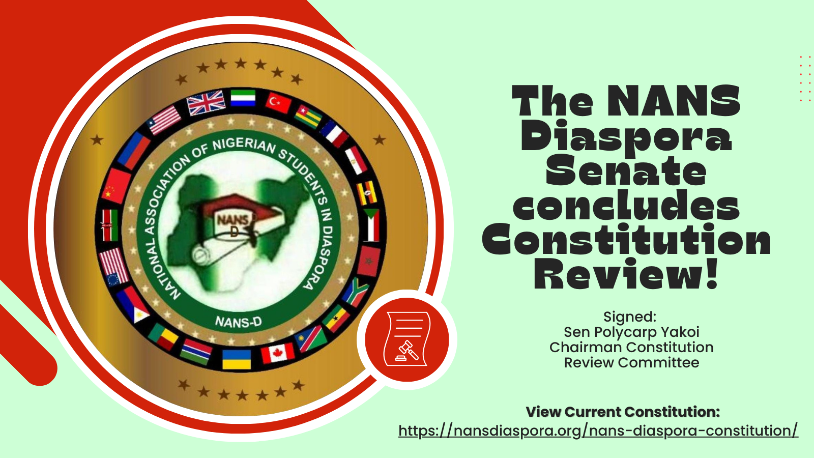 PRESS RELEASE: NANS Diaspora Senate Completes Constitution Review, Sets Stage for General Assembly Discussion